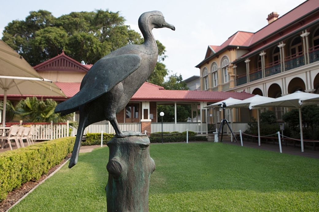 the-cormorant-2-752x530